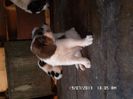 SAM_2770