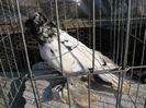 IMG_8111