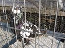 IMG_8117