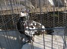 IMG_8120