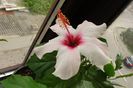 DSC02879