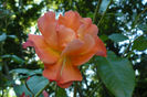 P1690844
