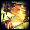 Magnum Almond