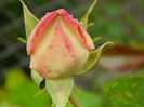 DSCN3672