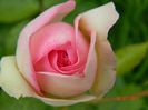 DSCN3677