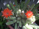 DSCN3212[1]