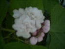 DSCN3218[1]