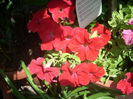 DSCN3219[1]