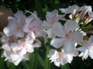 DSCN3221[1]