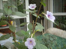 DSCN3204[1]