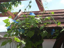 DSCN3229[1]