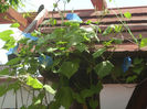 DSCN3230[1]