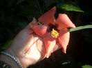 DSCN3231[1]