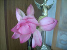 DSCN3233[1]
