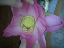 DSCN3234[1]