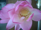DSCN3237[1]