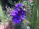 IMG-20130719-01215