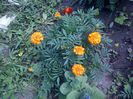IMG-20130719-01229