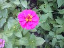 IMG-20130719-01239