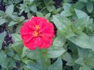 IMG-20130719-01241