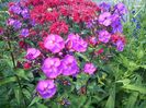 IMG-20130719-01244