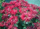 IMG-20130719-01245