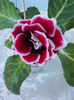 21 iulie 2013-flori 002