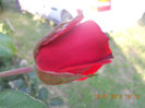 DSCN3843