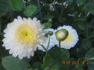 DSCN3848