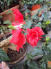 DSC08206