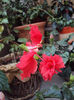DSC08207