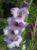 DSCN4704