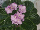 DSCN4217