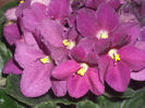 DSCN4218