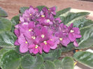 DSCN4219
