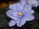 DSCN4212
