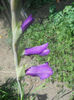 DSCN4710