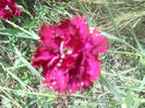 DSCN4714