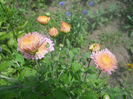DSCN4716