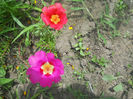 DSCN4717