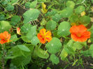 DSCN4721