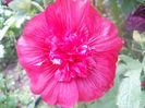 DSCN4727