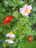 DSCN4742