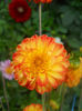 DSCN4744