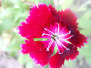 DSCN4770