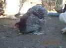 91070745_HCGWGWK