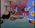 Tom si Jerry