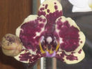 DSCN4228