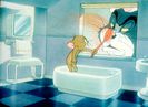 Tom si Jerry