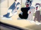 Tom si Jerry